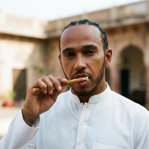 Bâtonnets de Miswak Peelu frais avec boîtes personnalisées / Miswaks Siwak épais de qualité supérieure / Packs de Miswaks pakistanais biologiques à prix de gros - Product Image 1