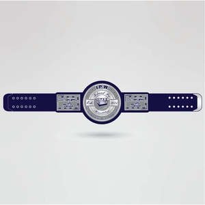 Silver Metal <b>Wrestling</b> Championship Belt with Blue Stars and Custom Text Design Silver metal <b>wrestling</b> belt Silver metal - Product Image 2