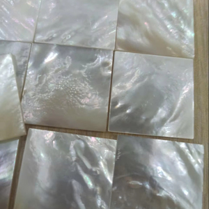 Piezas Brillantes de Madreperla para Componentes de Joyería y Uso Artesanal - Product Image 1