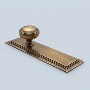Boutons de meuble élégants en laiton brossé avec plaque arrière, finition dorée, pour tiroirs de commodes de cuisine et de maison, poignées fixes - Product Image 2
