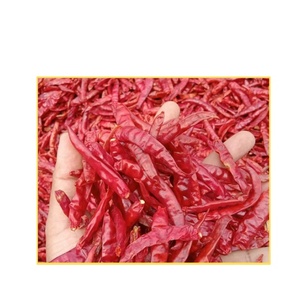 Piment rouge séché de qualité supérieure-entier, chaud et épicé, pièce unique, traitement brut, poivre aux herbes de haute qualité, exportation en gros - Product Image 1