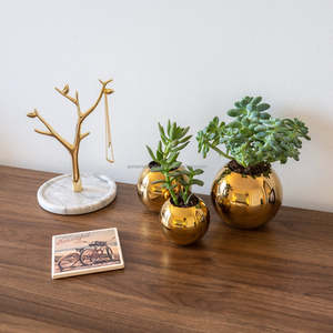 ที่ปลูกต้นไม้เคลือบสีทองทำจากสแตนเลสขัดเงาเหมาะสำหรับโต๊ะในบ้านระเบียงสวนกลางแจ้งและในร่ม - Product Image 5