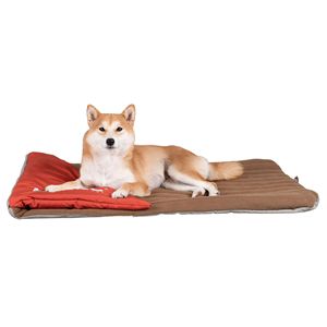 Cama de Viaje Deportiva para Perros, Ideal para Dueños de Mascotas en Movimiento - Product Image 3