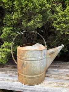 SALEEM INTERNATIONAL Arrosoir en métal écologique de 1,5 L, finition peinte à fleurs violettes, vase décoratif pour jardin d'intérieur - Product Image 4