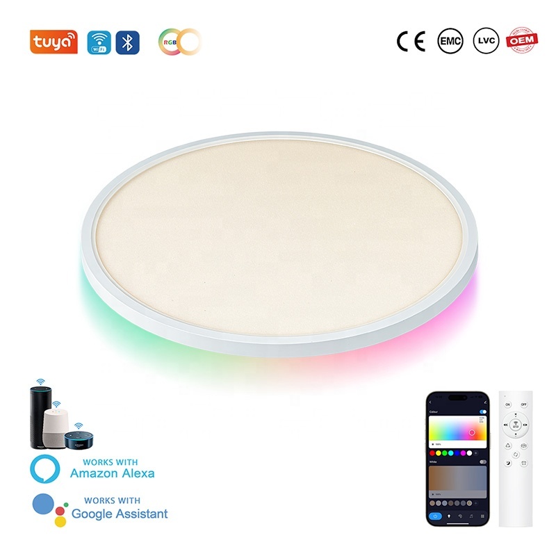 Tuya WiFi RGB 30CM Flush Mount LED Smart Surface-Mounted Lights Music Sync Remote App Control Voice Control Residential