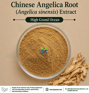 Suministro Directo de Fábrica HGO, Extracto Natural de Angélica (Angelica sinensis) (Grado Alimenticio) en Proporciones 4:1 5:1 10:1 20:1 100:1 200:1 - Product Image 1