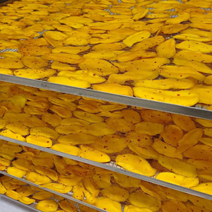 [MEILLEURE VENTE] Mangue séchée moelleuse à faible teneur en sucre, tranche de fruit pour le thé, le petit-déjeuner, les céréales, approvisionnement en vrac, Vietnam, emballée sous vide, 12 mois - Product Image 5