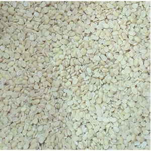 Urad Indio Blanco Orgánico Seco de la Mejor Calidad, Sin Piel, Alto en Proteínas, Fácil de Cocinar, Suministro a Granel de 30 kg, Nueva Cosecha a Buen Precio - Product Image 1