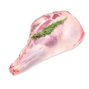 Carne de cordero con hueso de alta calidad, halal, congelada, para exportación al por mayor y distribución global, cortes de cordero de grado A. - Product Image 4