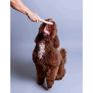 ของเล่นทำความสะอาดฟันสุนัขแบบแท่งไม้กาแฟออร์แกนิคธรรมชาติวีแกนยอดนิยมจาก Eco2go เวียดนาม - Product Image 1