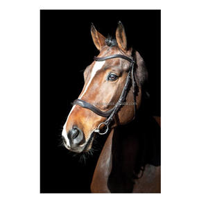 Brida de Carreras de Caballos de cuero indio portátil rojo, suave y resistente sillín de caballo, costura elegante, diseño de producto ecuestre - Product Image 2