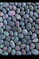 Cabochon de pierre précieuse Fuchsite rubis naturel – Pierre de Fuchsite verte en matrice, en vrac, pour la fabrication de bijoux et le wire wrapping, vente en gros