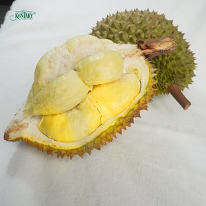 ส่งออกผลไม้สด ขายส่งทุเรียนคุณภาพพรีเมียม ทุเรียนสด 100% ผลไม้ธรรมชาติเพื่อสุขภาพ ทุเรียนสด - Product Image 1