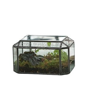 Terrario Geométrico Moderno de Vidrio, Florero de Mesa, Recipiente para Plantas Hidropónicas - Product Image 2