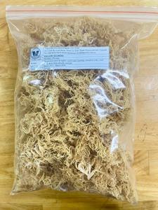 Musgo Marino Natural de Alta Calidad para la Industria Alimentaria, Cosmética y Bebidas, Materia Prima, Venta al Por Mayor, Exportación - Product Image 4