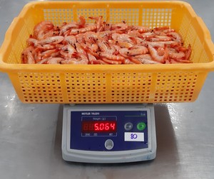 Litopenaeus Vannamei Crevettes entières cuites et surgelées IQF Semi-Shell-On Head-On en sac sans tête - Product Image 4