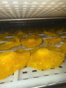 Tranches d'ananas déshydratées du Vietnam, ingrédient de fruits tropicaux pour la pâtisserie, les desserts, les mélanges de thé, la production de snacks, approvisionnement en vrac - Product Image 2