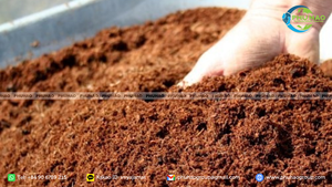 Bloque o bolsa de fibra de coco orgánica de bajo contenido en EC, utilizada para el cultivo, suelto de la tierra para plántulas, crecimiento saludable de raíces, sustrato de fibra de coco, precio al por mayor. - Product Image 4