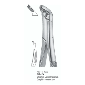 Zahnärztliche Extraktionszange Fig. 151 XAS |   Kinderzähne, untere Beißzähne und Spitzzähne, gezahnter Kiefer |   Zahnärztliche Instrumente - Product Image 1