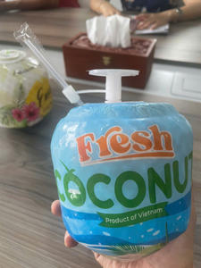 Noix de coco jeune fraîche du Vietnam, entière, forme diamant, peau verte, qualité export, longue durée de conservation TECHMIFOOD Vietnam - Product Image 3