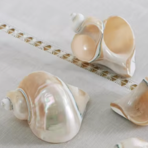 วงแหวนตกแต่งโต๊ะทำจากเปลือกหอย ผลิตในเวียดนาม สำหรับตกแต่งร้านอาหารริมชายหาดและงานปาร์ตี้ - Product Image 1