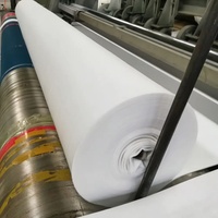 Tissu géotextile non tissé haute résistance pour la séparation des sols, l'isolation des fondations, la génie civil - Fabricant
