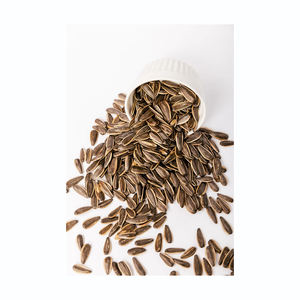 Graines de tournesol de qualité supérieure, directement de l'usine, préparées pour la livraison sur le marché de gros. - Product Image 4