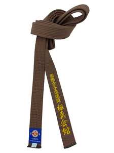 Ceintures de classement colorées en coton pour Taekwondo, Arts martiaux, Judo, Karaté, TKD, Aikido, pour enfants et adultes, 1 pièce - Product Image 4