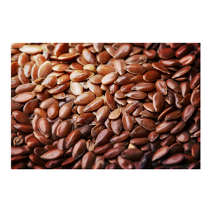 Semillas de Lino Orgánicas Naturales, Especias y Hierbas Naturales, Semillas Flexibles, Compre a Precio de Mayoreo en Pedidos al por Mayor Directamente de la India - Product Image 5