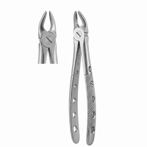 Forceps d'extraction Fig. 8, Premolaires inférieurs « modèle anglais » - Pinces de dissection et d'enucleation en acier inoxydable - Product Image 3