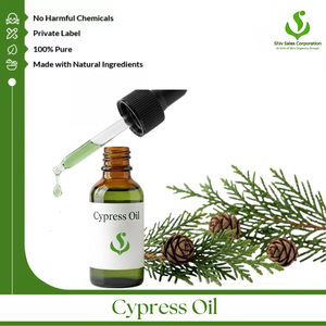 Professional Cypress Essential Oil Wholesaler Offering Reliable Bulk Supply Solutions for Cosmetics Personal Care Fragrance - Product Image 1