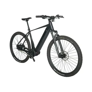 Bicyclette électrique légère en alliage d'aluminium avec moteur sans balais pneus anti-crevaison pour une utilisation touristique vente en gros - Product Image 3