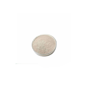Poudre de peptides de riz de haute qualité, adaptée à l'exportation et aux opérations de commerce en gros - Product Image 1