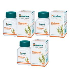Capsules de Shatavari, complément alimentaire naturel à base de plantes pour le bien-être des femmes - Product Image 2