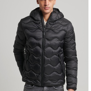 Veste matelassée à capuche pour homme, alternative au duvet, chaude, pour l'hiver, vêtement d'extérieur décontracté - Product Image 1