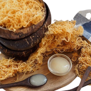 Musgo Irlandés Seco a Granel, Precio al por Mayor, Eucheuma Cottonii Secado al Sol, Musgo Marino Crudo Premium, Envasado al Vacío, de Proveedor Vietnamita - Product Image 2