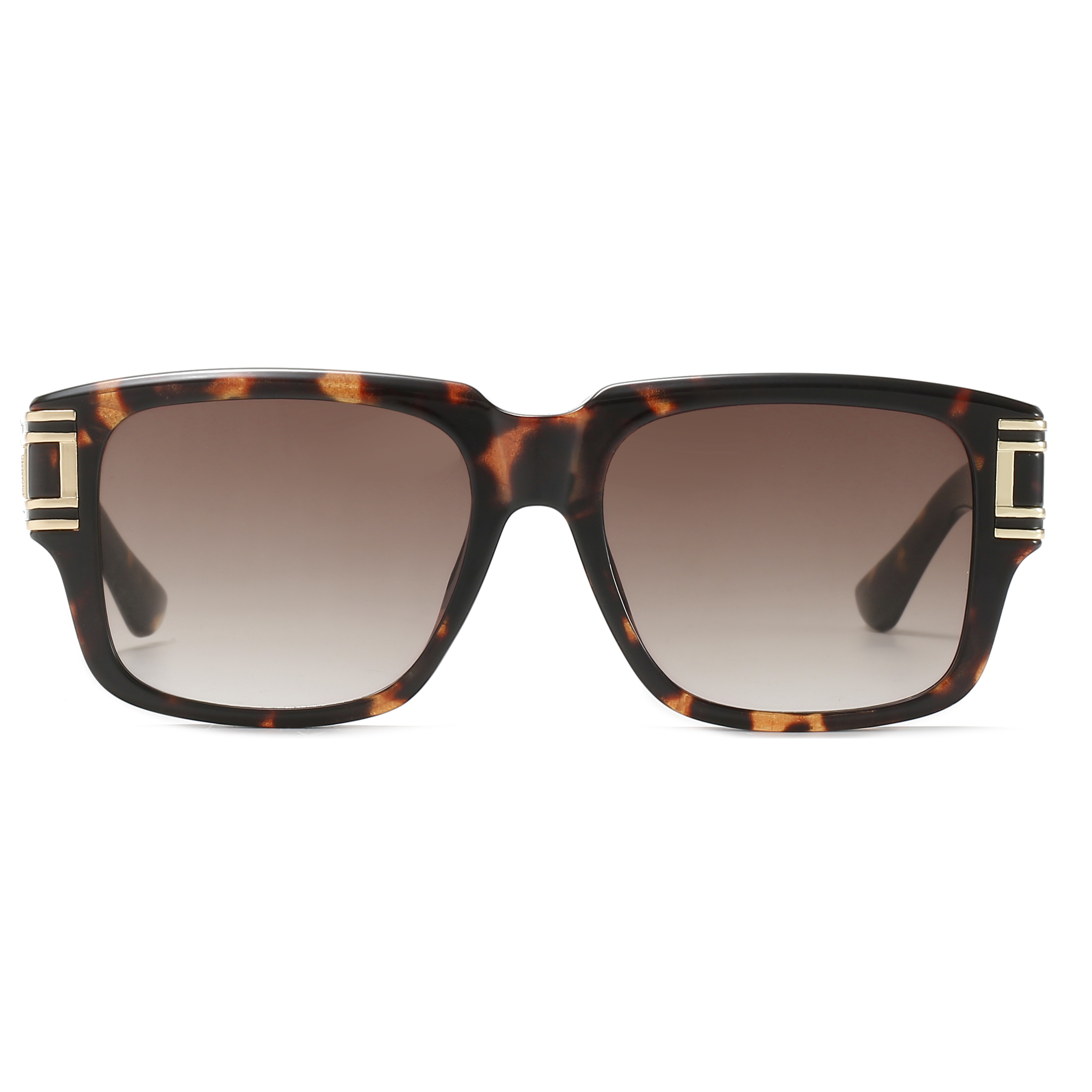 C4: Tortoise/ Brown Gradient