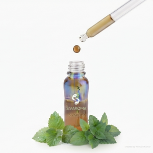 Natural-Origin <b>Patchouli</b> Oil for Perfume Production, Beauty Product Manufacturing, Aromatic Formulations, and Bulk B2B - Product Image 2