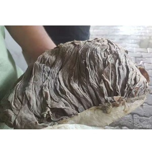 <b>Omasum</b> Beef With Soft Natural Texture And Hygienic Packing Ideal For Hotels Restaurants <b>Export</b> Markets And Food Manufacturers - Product Image 4