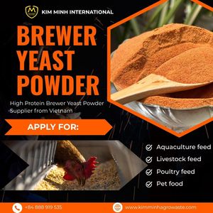 Poudre de levure de bière de haute qualité pour l'alimentation animale - Kim Minh International - Product Image 1