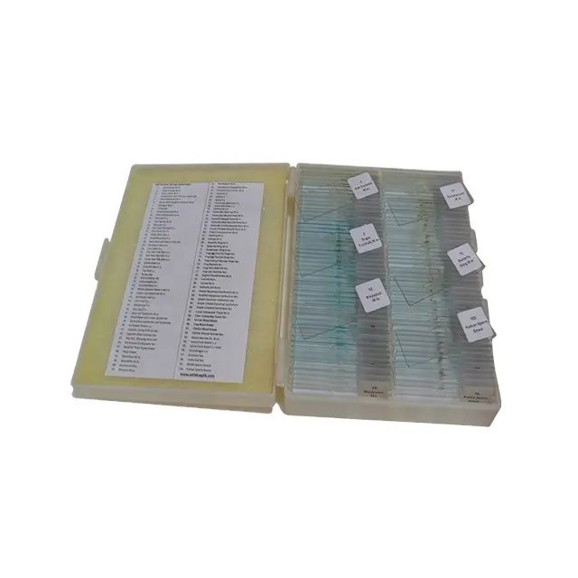 Microscope Histology Human and Medical Prepared Histology Slides Set Biology Histology Educational Microscope Slides