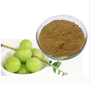 Poudre d'Amla 100% Pure OEM/ODM pour l'Alimentation et la Croissance des Cheveux, Superaliment Naturel de Groseille Indienne pour l'Éclat de la Peau, l'Immunité et la Perte de Poids - Product Image 2