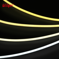 Lampu LED RGB Pixel Neon Silikon Pintar yang Dapat Diprogram, Tahan Air IP68, Dapat Diatur Secara Individual untuk Efek Dinamis untuk Hiburan
