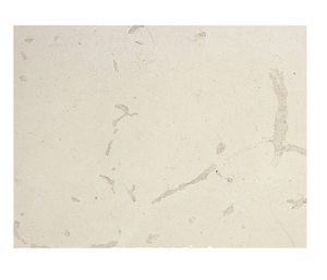 Dalle de pierre naturelle Filstone Beige MFF, pierre calcaire spéciale beige clair, surface à veines subtiles, pour revêtement de sol et panneaux muraux - Product Image 1