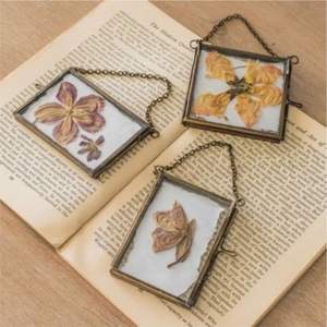 Cadre photo mural en laiton doré avec verre flottant et fleurs pressées, double verre, pour décoration murale et présentation de spécimens - Product Image 2