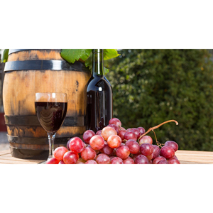 Vendanges de raisins frais pour la production de vin rouge, de vin blanc et de jus – Fournisseur en gros pour l'exportation, service OEM - Product Image 4