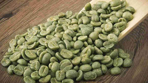 Granos de Café Verde 100% Arábica, Especialidad Vietnamita, Proceso Natural, Calidad Premium Grado A+, La Mejor Oferta para Pedidos al por Mayor 2026 - Product Image 2