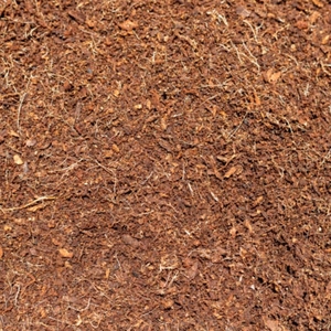 Turba de Coco Comprimida, Fibra de Coco Natural, Medio de Cultivo para Germinación de Semillas, Jardinería y Agricultura - Product Image 6
