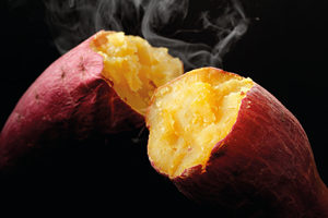 Hot Selling Good Quality Top Grade Organic <b>Fresh</b> Japanese <b>Sweet</b> Yellow <b>Potatoes</b> Vegetables From Vietnam - Product Image 3