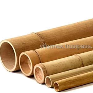 Premium <b>Bamboo</b> Poles Supplier in Vietnam - Ideal for Building & Landscaping - Product Image 5